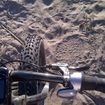 Low Ground Pressure: Fatbike Tyre and Elephant Tracks