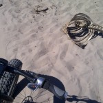 Random rib cage somewhere near Makkhalo, and sand.