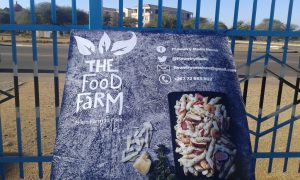 Flowetry Food Farm promo banner Flowetry Food Farm promo banner