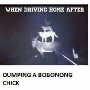 A chicken on top of a cat on top of a dog on top of a dinkey in the headlights of a car.